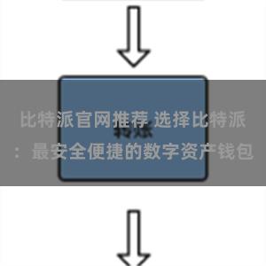 比特派官网推荐 选择比特派：最安全便捷的数字资产钱包