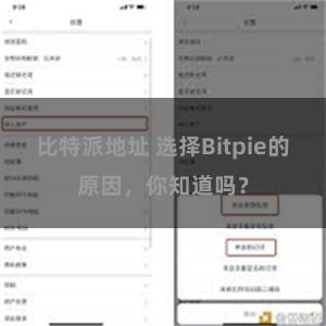 比特派地址 选择Bitpie的原因，你知道吗？