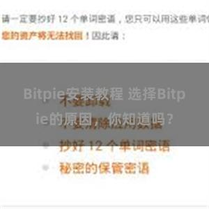 Bitpie安装教程 选择Bitpie的原因，你知道吗？