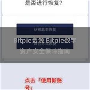 Bitpie资源 Bitpie数字资产安全保障指南