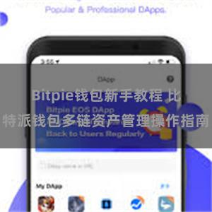 Bitpie钱包新手教程 比特派钱包多链资产管理操作指南