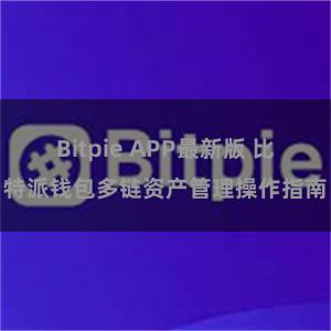 Bitpie APP最新版 比特派钱包多链资产管理操作指南