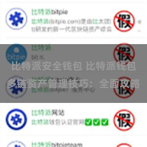 比特派安全钱包 比特派钱包多链资产管理技巧：全面攻略