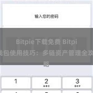 Bitpie下载免费 Bitpie钱包使用技巧：多链资产管理全攻略