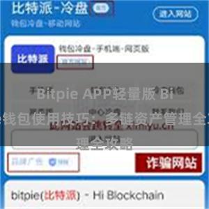 Bitpie APP轻量版 Bitpie钱包使用技巧：多链资产管理全攻略