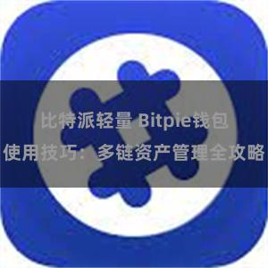 比特派轻量 Bitpie钱包使用技巧：多链资产管理全攻略