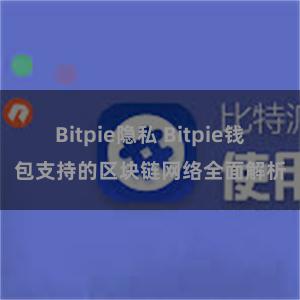 Bitpie隐私 Bitpie钱包支持的区块链网络全面解析