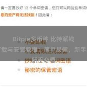 Bitpie多币种 比特派钱包下载与安装教程：简单易懂，新手必看