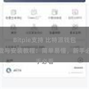 Bitpie支持 比特派钱包下载与安装教程：简单易懂，新手必看