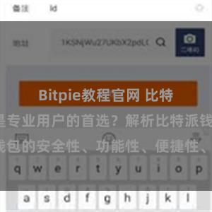 Bitpie教程官网 比特派钱包为何是专业用户的首选？解析比特派钱包的安全性、功能性、便捷性、支持性等优势。