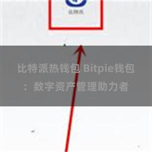 比特派热钱包 Bitpie钱包：数字资产管理助力者