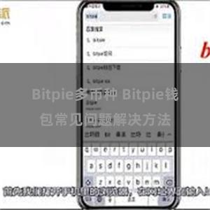 Bitpie多币种 Bitpie钱包常见问题解决方法