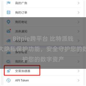 Bitpie跨平台 比特派钱包：强大隐私保护功能，安全守护您的数字资产