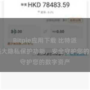 Bitpie应用下载 比特派钱包：强大隐私保护功能，安全守护您的数字资产