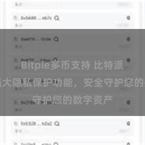 Bitpie多币支持 比特派钱包：强大隐私保护功能，安全守护您的数字资产