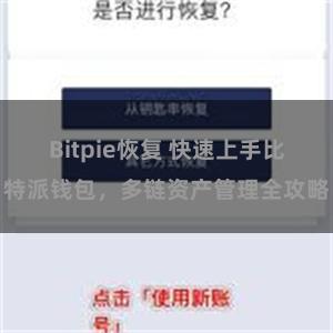 Bitpie恢复 快速上手比特派钱包，多链资产管理全攻略