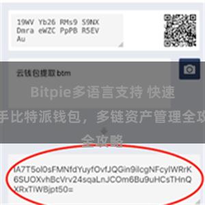 Bitpie多语言支持 快速上手比特派钱包，多链资产管理全攻略