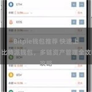 Bitpie钱包推荐 快速上手比特派钱包，多链资产管理全攻略