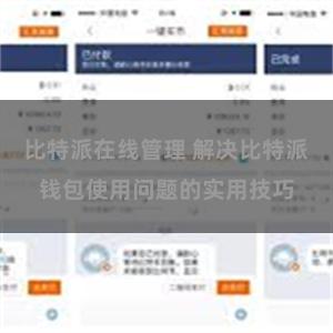 比特派在线管理 解决比特派钱包使用问题的实用技巧