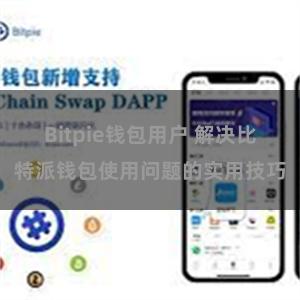 Bitpie钱包用户 解决比特派钱包使用问题的实用技巧