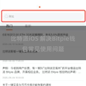 比特派iOS 解决Bitpie钱包常见使用问题