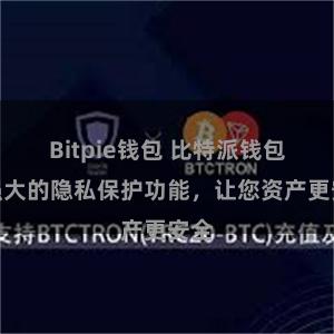 Bitpie钱包 比特派钱包：强大的隐私保护功能，让您资产更安全