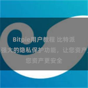 Bitpie用户教程 比特派钱包：强大的隐私保护功能，让您资产更安全