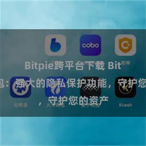 Bitpie跨平台下载 Bitpie钱包：强大的隐私保护功能，守护您的资产