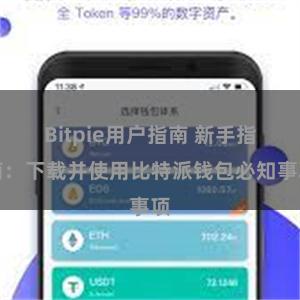 Bitpie用户指南 新手指南：下载并使用比特派钱包必知事项