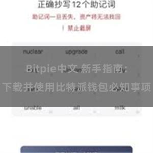 Bitpie中文 新手指南：下载并使用比特派钱包必知事项