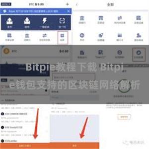 Bitpie教程下载 Bitpie钱包支持的区块链网络解析