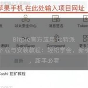 Bitpie官方应用 比特派钱包下载与安装教程：轻松学会，新手必看