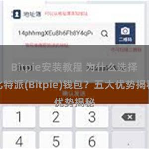 Bitpie安装教程 为什么选择比特派(Bitpie)钱包？五大优势揭秘