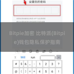 Bitpie加密 比特派(Bitpie)钱包隐私保护指南