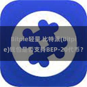 Bitpie轻量 比特派(Bitpie)钱包是否支持BEP-20代币？