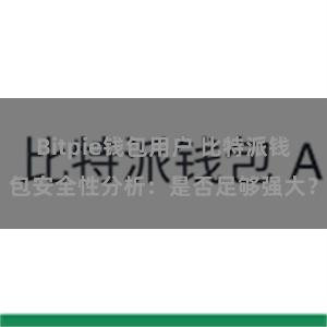 Bitpie钱包用户 比特派钱包安全性分析：是否足够强大？
