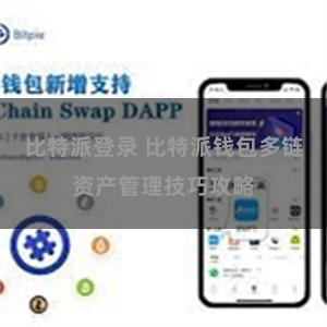 比特派登录 比特派钱包多链资产管理技巧攻略