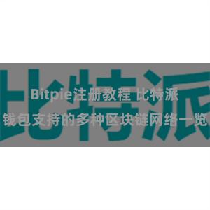 Bitpie注册教程 比特派钱包支持的多种区块链网络一览