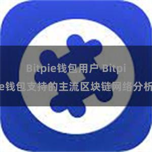 Bitpie钱包用户 Bitpie钱包支持的主流区块链网络分析