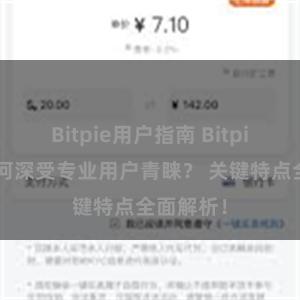 Bitpie用户指南 Bitpie钱包为何深受专业用户青睐？ 关键特点全面解析！