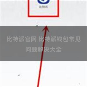 比特派官网 比特派钱包常见问题解决大全