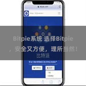 Bitpie系统 选择Bitpie，安全又方便，理所当然！