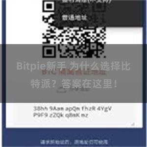 Bitpie新手 为什么选择比特派？答案在这里！