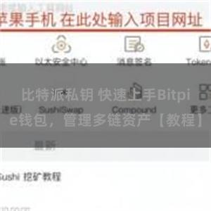 比特派私钥 快速上手Bitpie钱包，管理多链资产【教程】