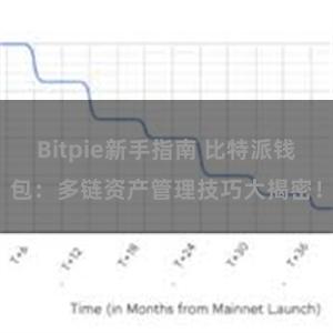 Bitpie新手指南 比特派钱包：多链资产管理技巧大揭密！
