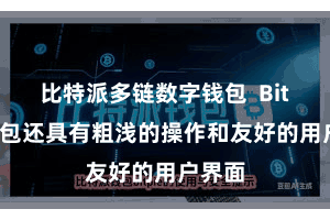 比特派多链数字钱包  Bitpie钱包还具有粗浅的操作和友好的用户界面