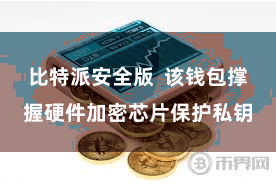 比特派安全版  该钱包撑握硬件加密芯片保护私钥