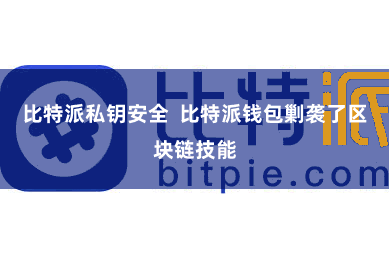 比特派私钥安全  比特派钱包剿袭了区块链技能