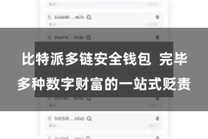 比特派多链安全钱包  完毕多种数字财富的一站式贬责
