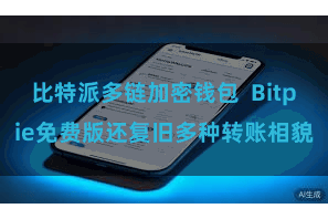 比特派多链加密钱包 Bitpie免费版还复旧多种转账相貌
